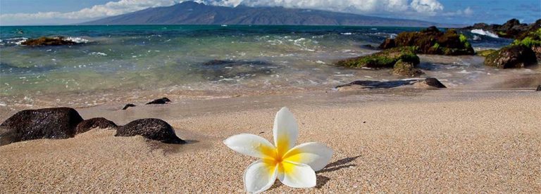 Aloha Shack - Hawaiian Style Restaurant in Reno, NV